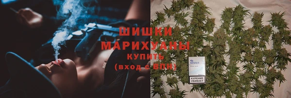 PSILOCYBIN Кодинск