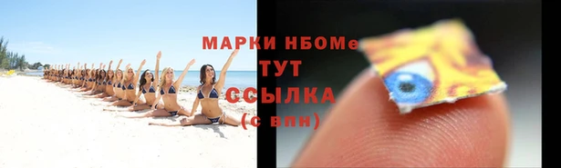 гидра Кинешма