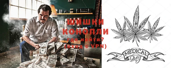 PSILOCYBIN Кодинск