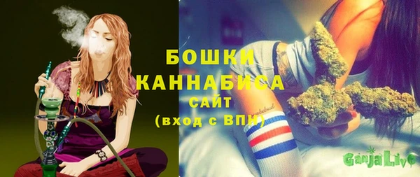 гидра Кинешма