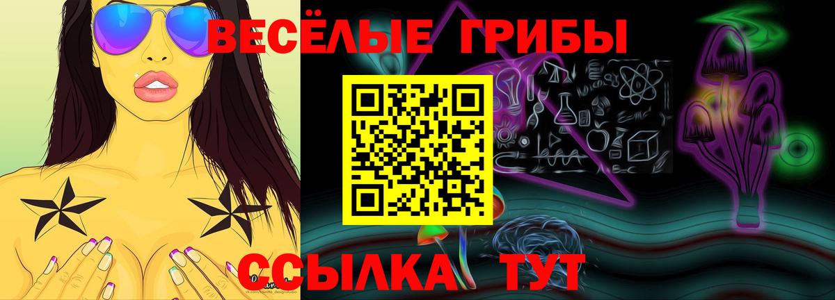 Михайловка  Псилоцибиновые грибы Cubensis  Вход с VPN 